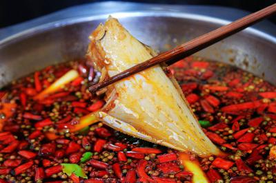 耗兒魚(yú)培訓(xùn)