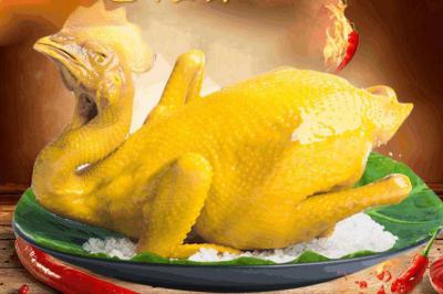 四川鹽焗雞技術(shù)培訓(xùn)學(xué)校那里正宗？鹽焗雞的選材處理