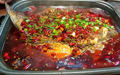 想學(xué)烤魚(yú)技術(shù)哪里專(zhuān)業(yè)？