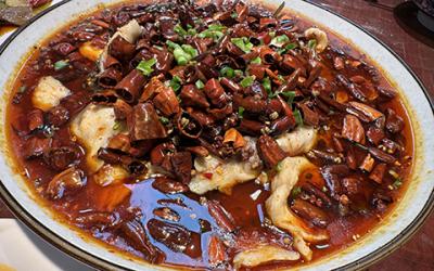 成都涼拌菜培訓(xùn)如何選擇？學(xué)習(xí)涼菜技術(shù)哪里好