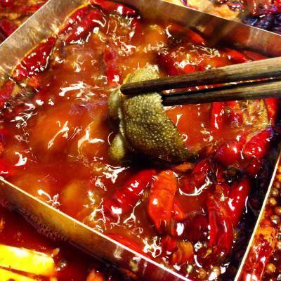 成都火鍋培訓(xùn)多少錢？ 成都火鍋培訓(xùn)多少錢？