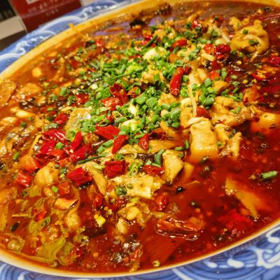 重慶來鳳魚培訓學校哪家好？深度解析蜀味緣為何備受青睞